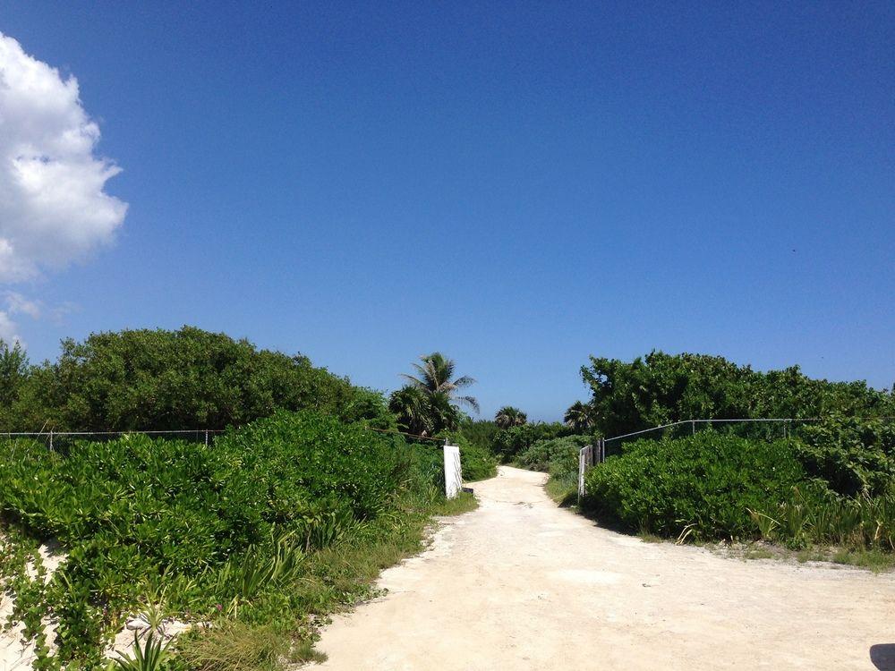 Casa Amor Pto Morelos プエルト・モレロス エクステリア 写真