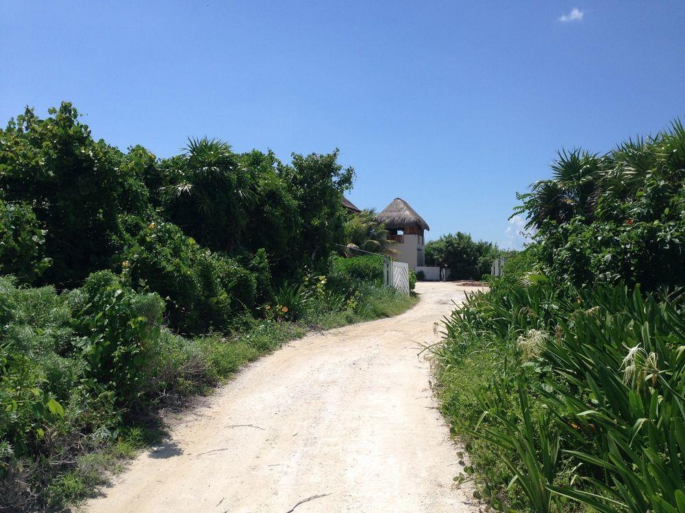 Casa Amor Pto Morelos プエルト・モレロス エクステリア 写真